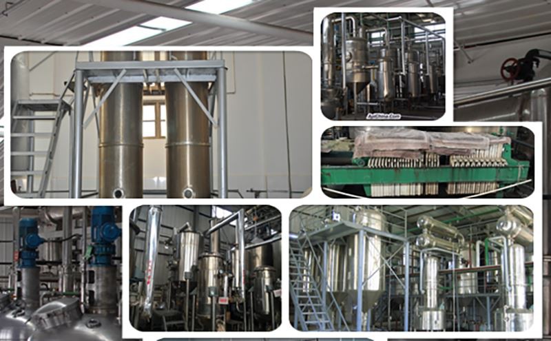 Company Information Company Information