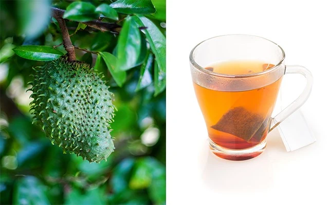 1Making Tea with Soursop Leaf Extract Powder 1Making Tea with Soursop Leaf Extract Powder